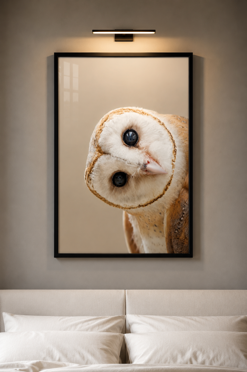 Curious Barn Owl