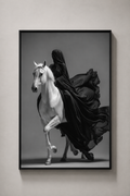 Midnight Majesty – Arabian Horse Fine Art Frame