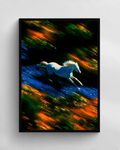 Velocity of Dreams