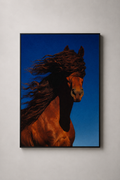 Unbridled Majesty