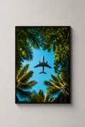Above the Palms