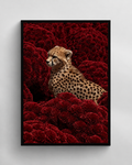 Crimson Cheetah