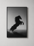 Midnight Stallion
