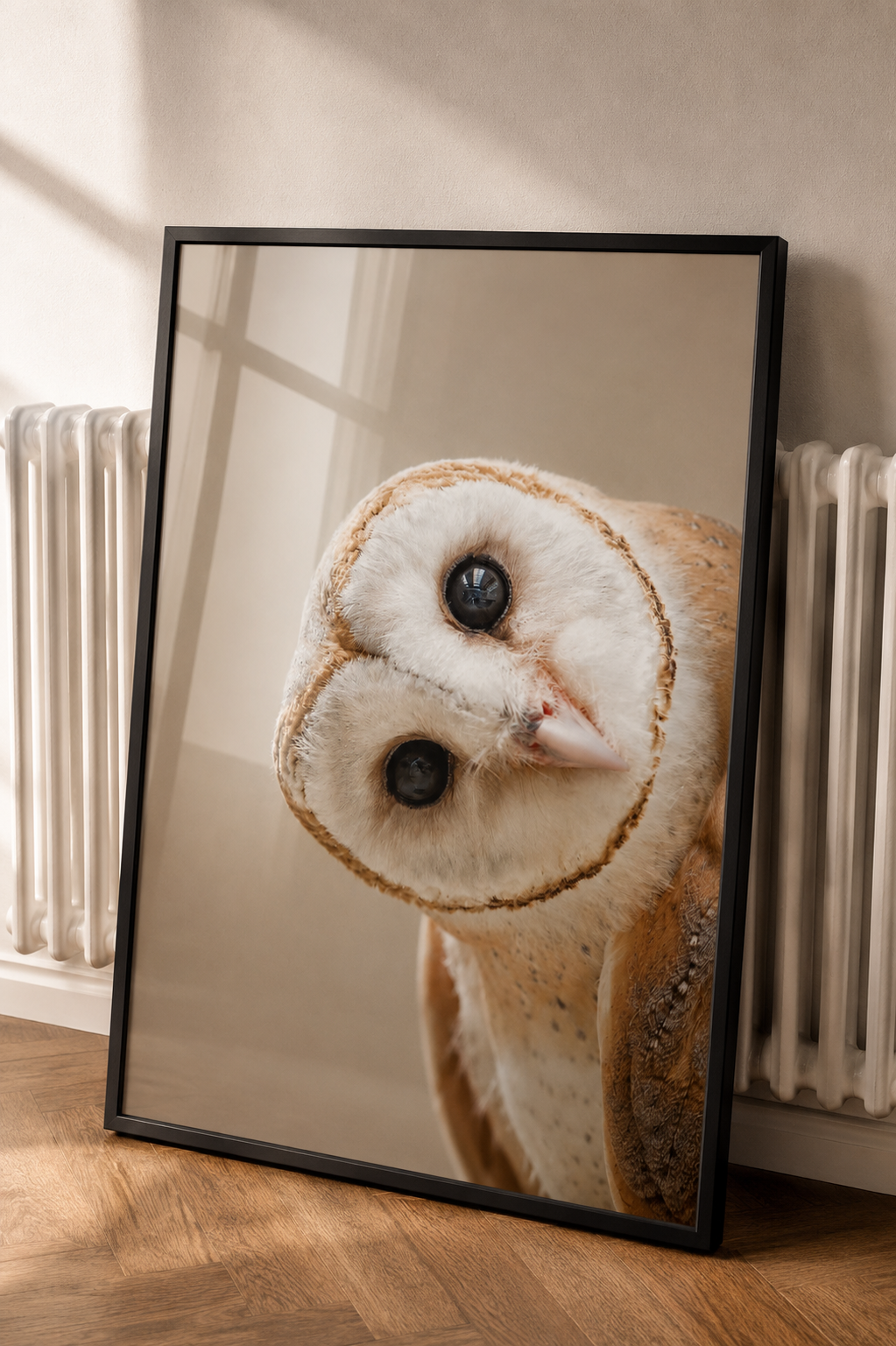 Curious Barn Owl