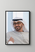 The Visionary Sheikh