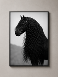 Midnight Majesty Horse