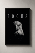 FOCUS EAGLE